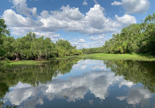 Kakadu - 2022