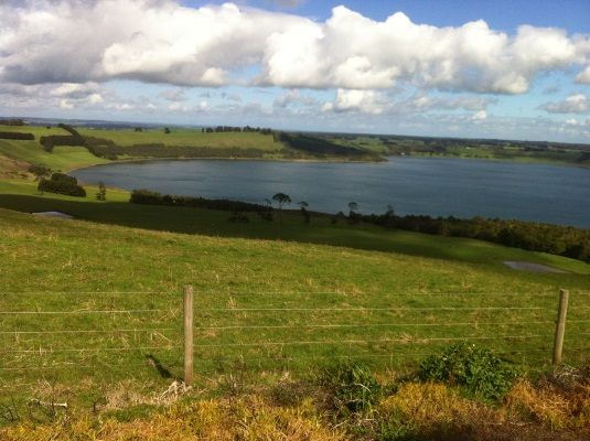 Victoria's Crater Lakes have a unique natural environment that suits a special foreign fish, the Chinook Salmon