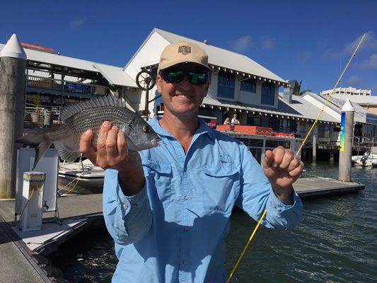 Bream love the iconic Mooloolaba prawns as much as we do